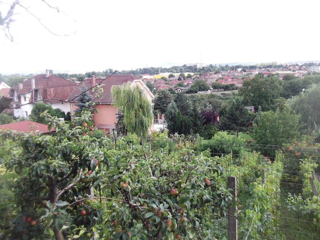 Pensiunea Raze De Soare Oradea Exterior foto