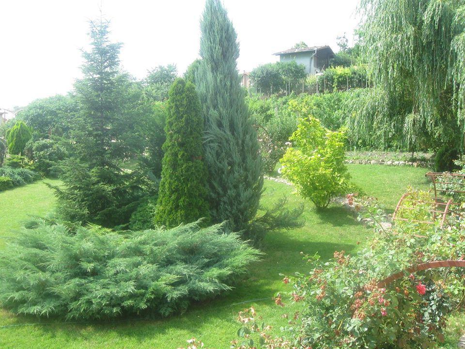 Pensiunea Raze De Soare Oradea Exterior foto